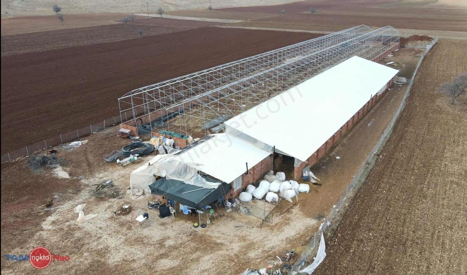 Elmalı'da Çook Kelepir Kurulu Çiftlik..