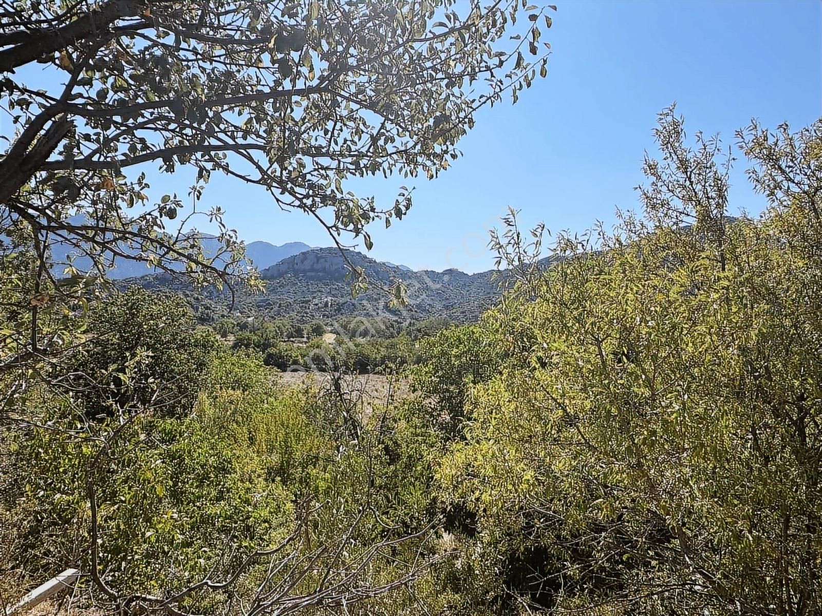 Antalya İbradı Aşağı Mahalle Satılık Arsa - Görsel 2