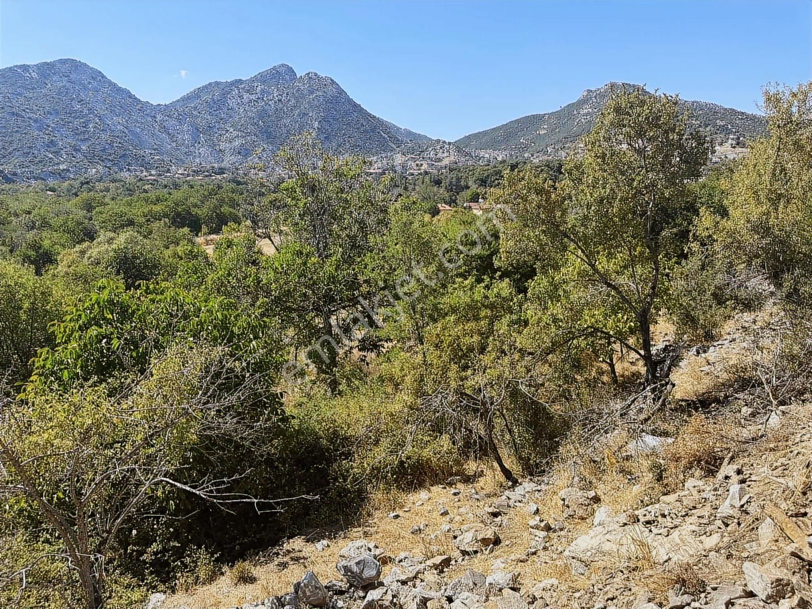 Antalya İbradı Aşağı Mahalle Satılık Arsa - Görsel 8