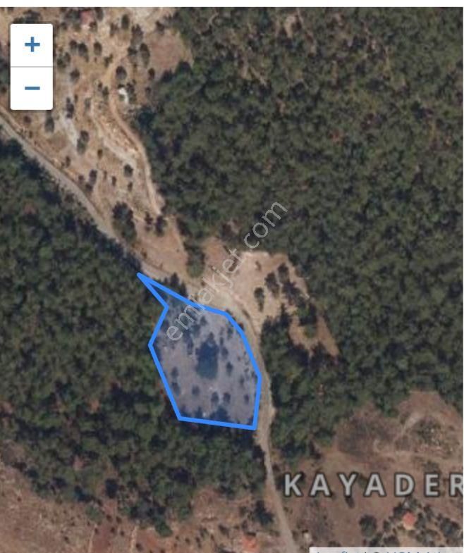 Milas Kayadere Köyü’nde Satılık Tarla