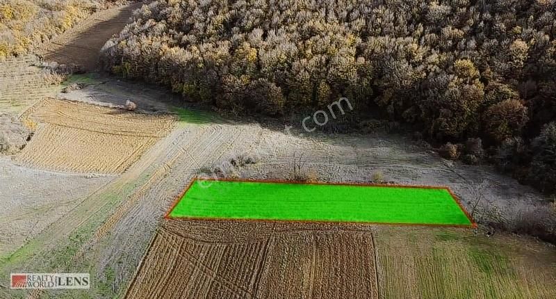 Kaynarca Sabırlıda Kaçırılmayacak 960 M² Yatırımlık Tarla - Görsel 10