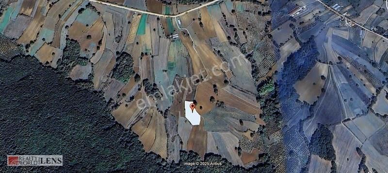 Kocaeli Kandıra Yusufça'da 3111 Metre Kare Yatırımlık Tarla - Görsel 3