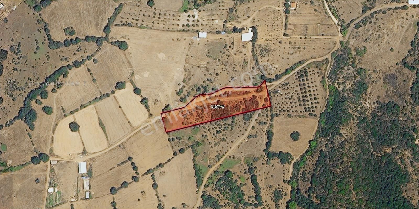 Çan/terzialan, Kısmi Göl Manzaralı, Yol Cepheli, Satılık Arazi - Görsel 8