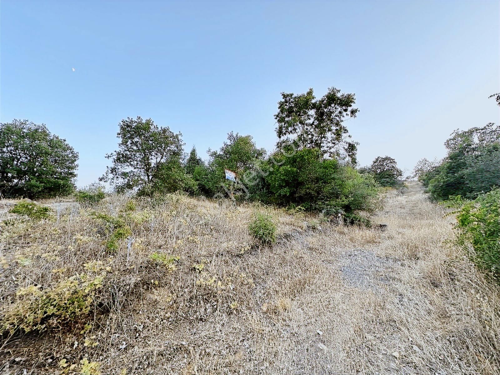 Çan/terzialan, Kısmi Göl Manzaralı, Yol Cepheli, Satılık Arazi - Görsel 21