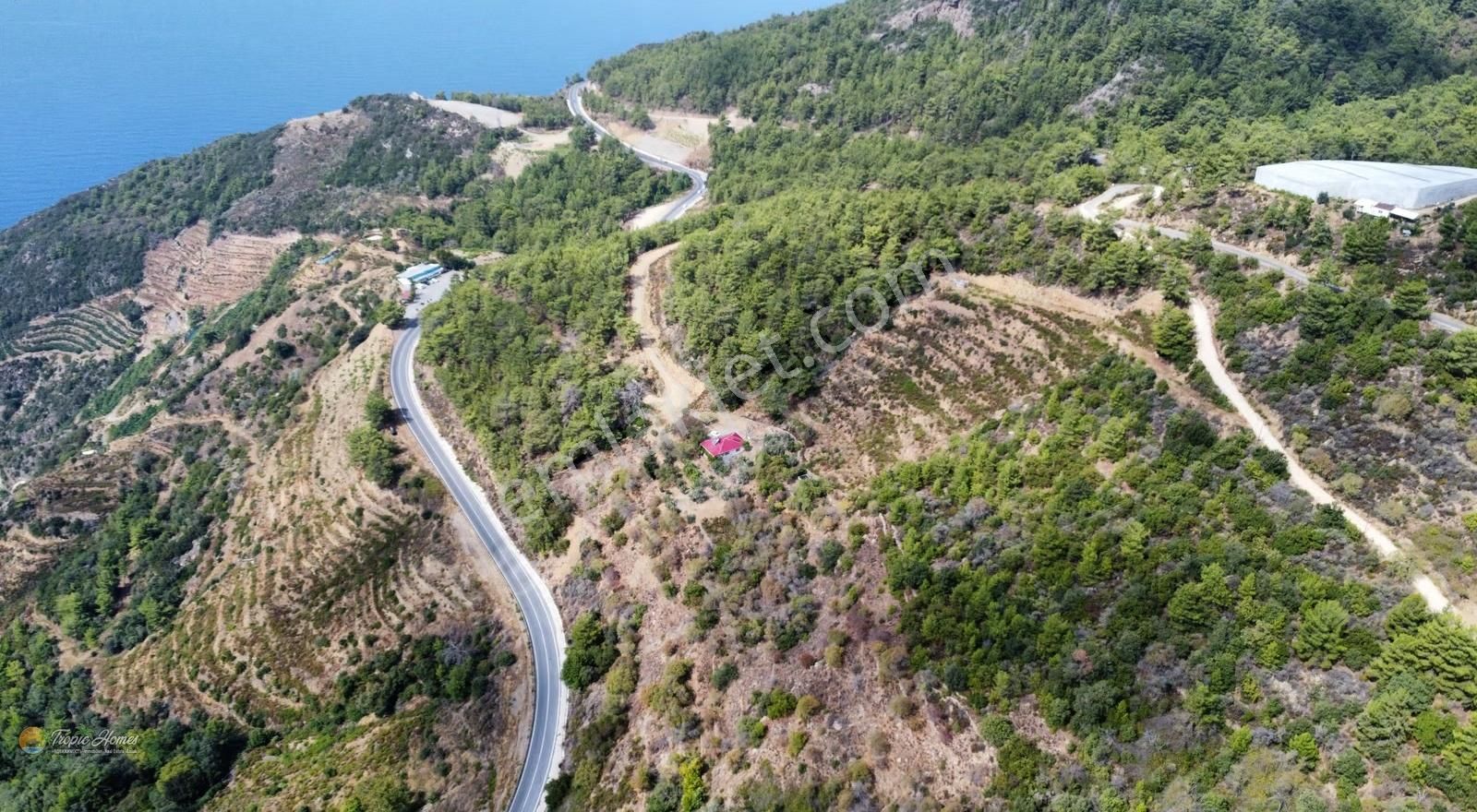 Gazipaşa Zeytinada Mahallesi'nde Mevzi İmarına Uygun Arazi - Görsel 3