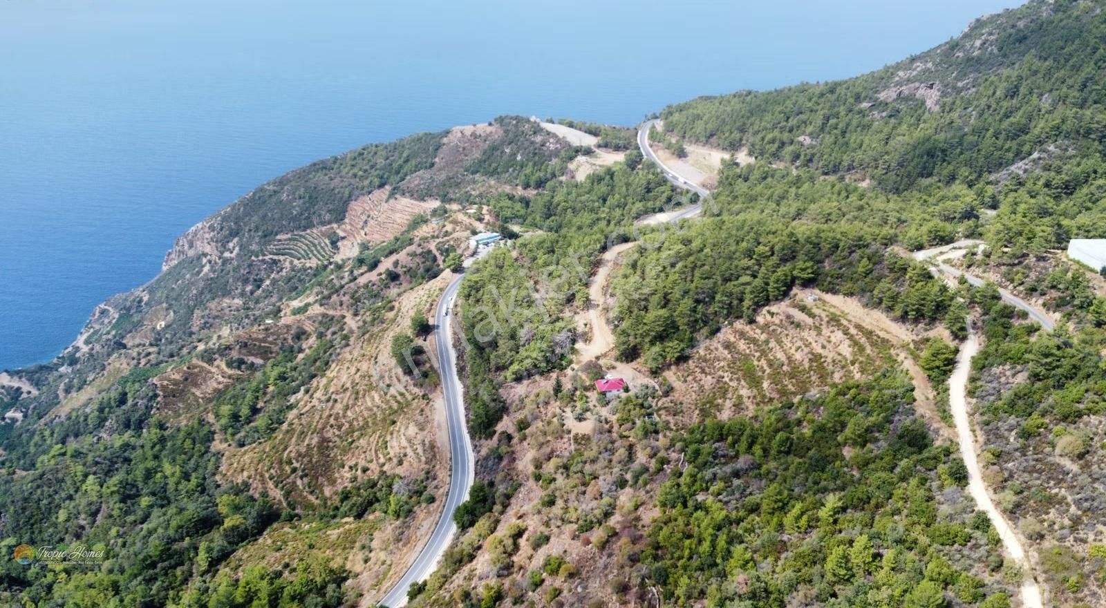Gazipaşa Zeytinada Mahallesi'nde Mevzi İmarına Uygun Arazi