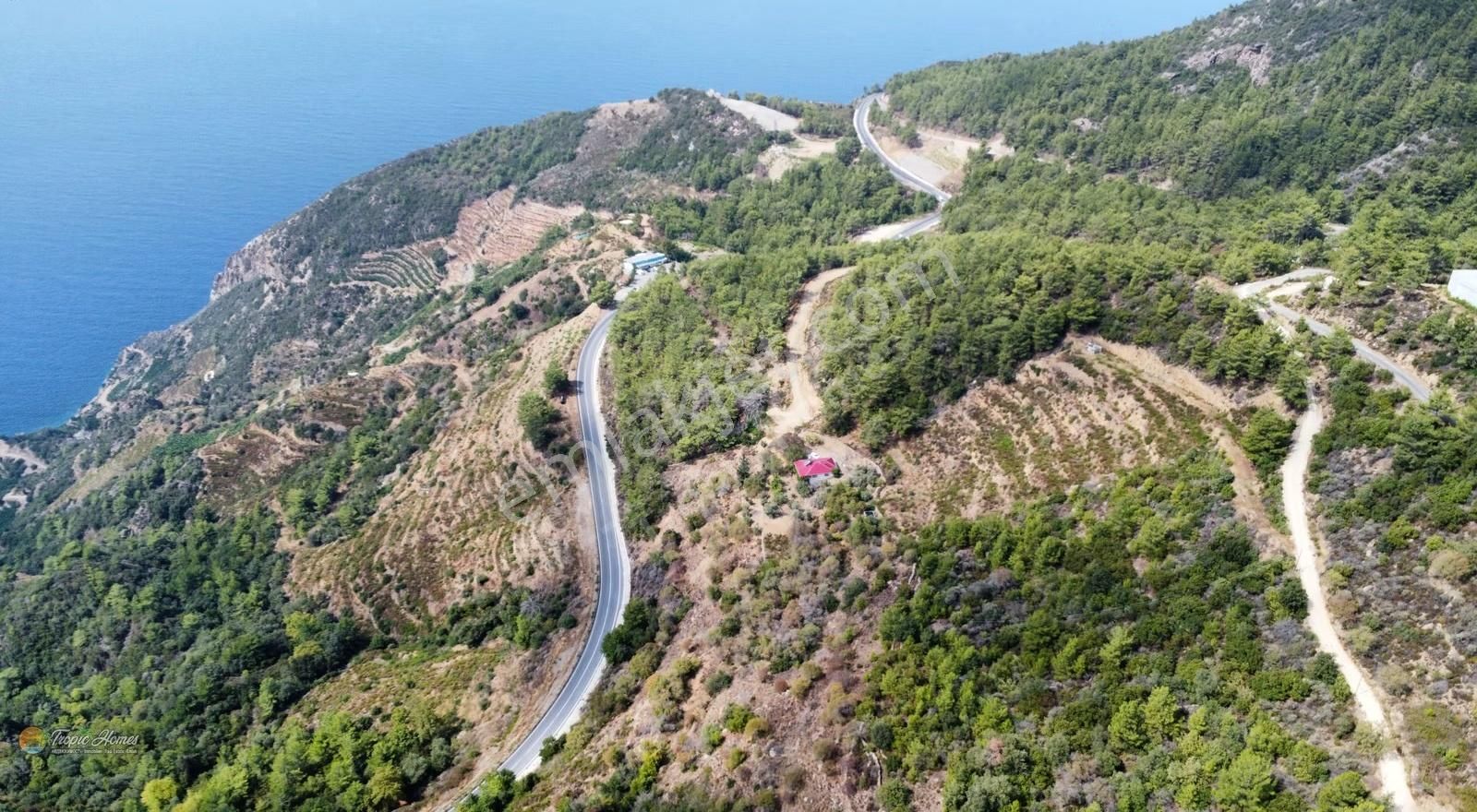 Gazipaşa Zeytinada Mahallesi'nde Mevzi İmarına Uygun Arazi - Görsel 5