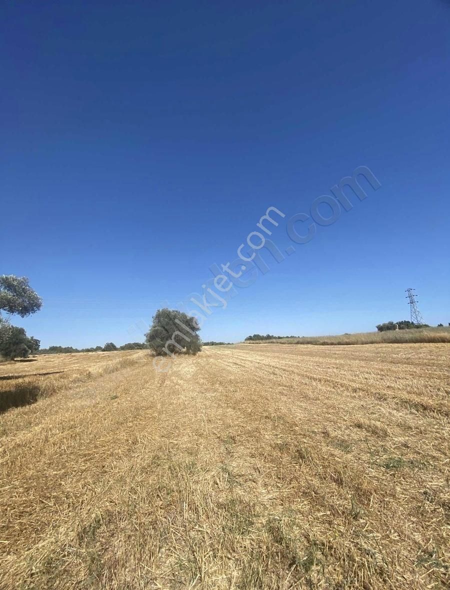 Manavgat Yavrudoğanda Denize Yakın Satılık 5000 M² Tarla! - Görsel 4