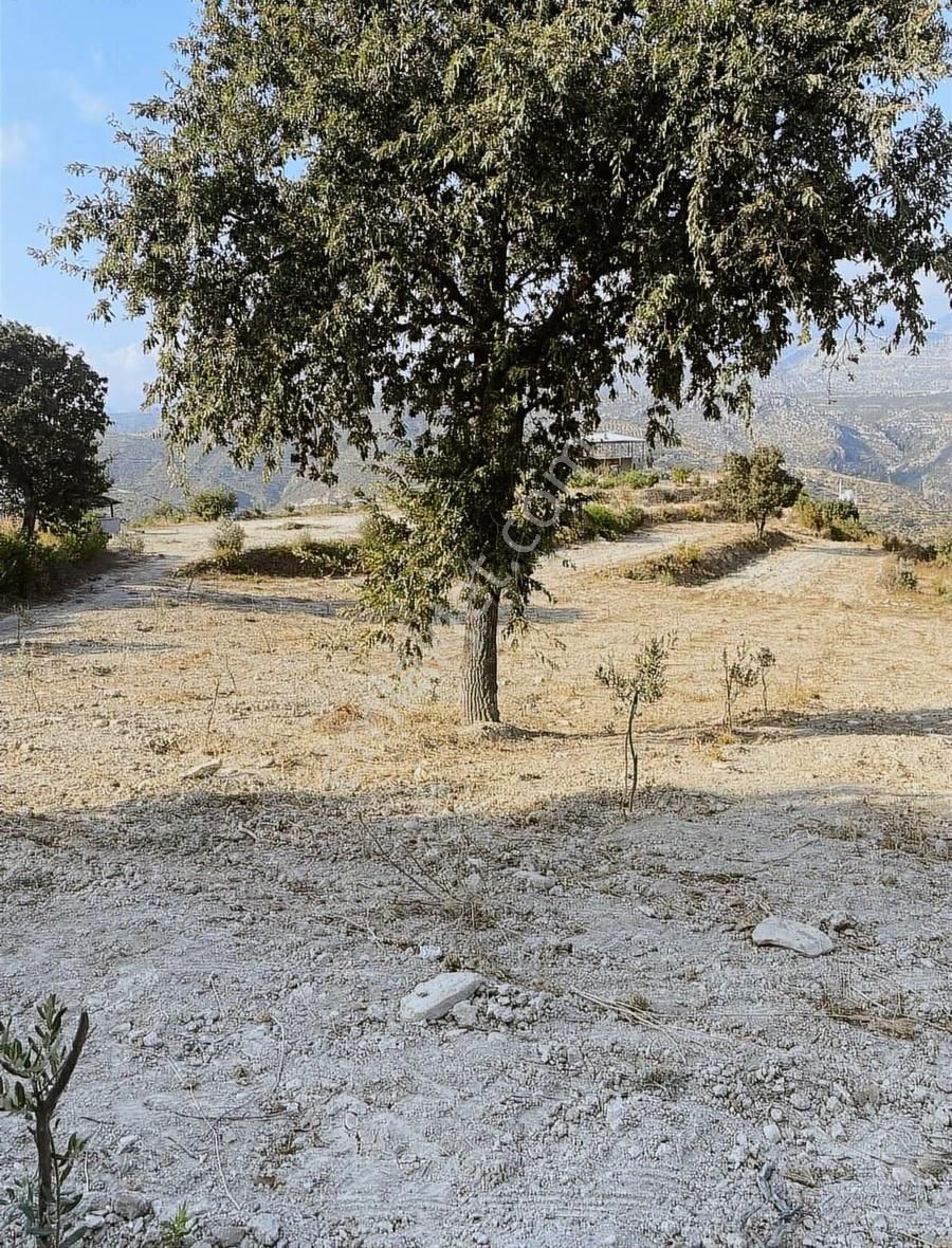 Manavgat Tilkiler Köyünde Satılık Tarla - Görsel 4