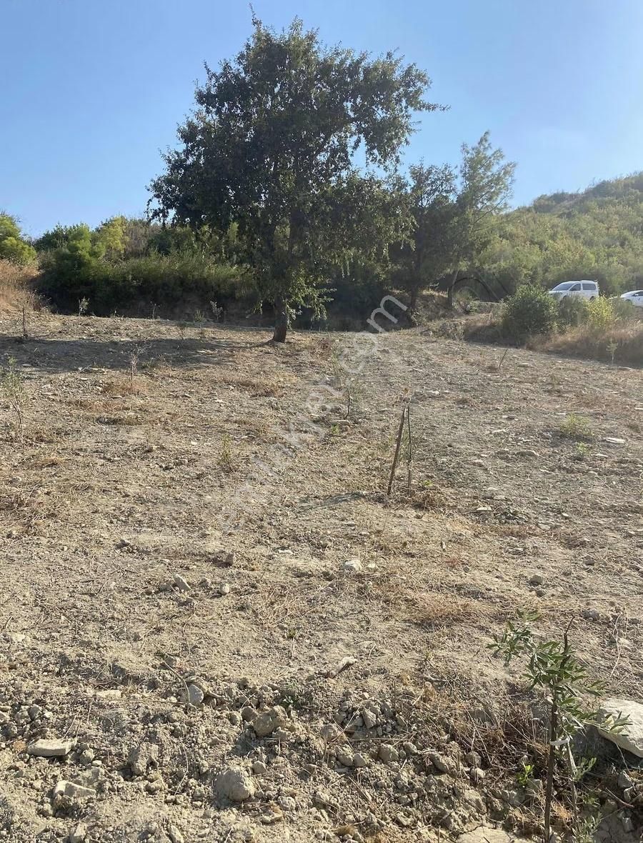Manavgat Tilkiler Köyünde Satılık Tarla - Görsel 6