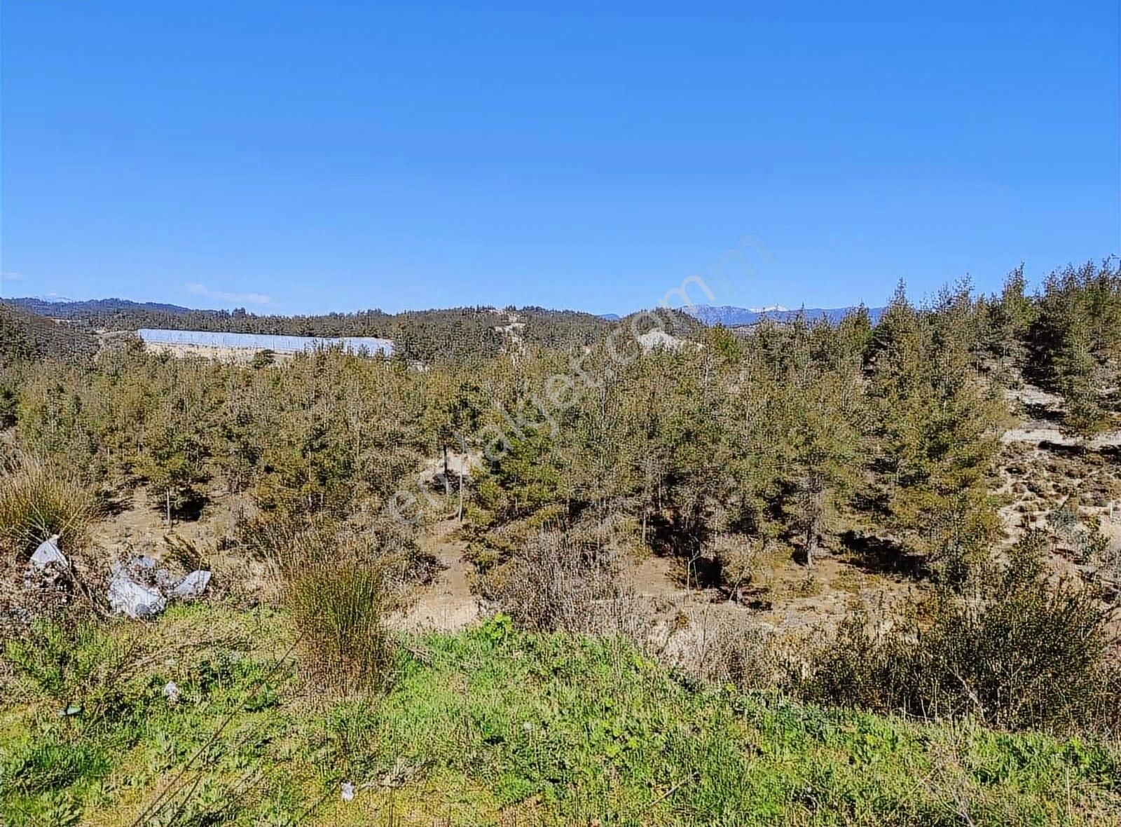 Manavgat Çardakta 1202 M² Arsa İçinde 2 Katlı Müstakil Ev - Görsel 3