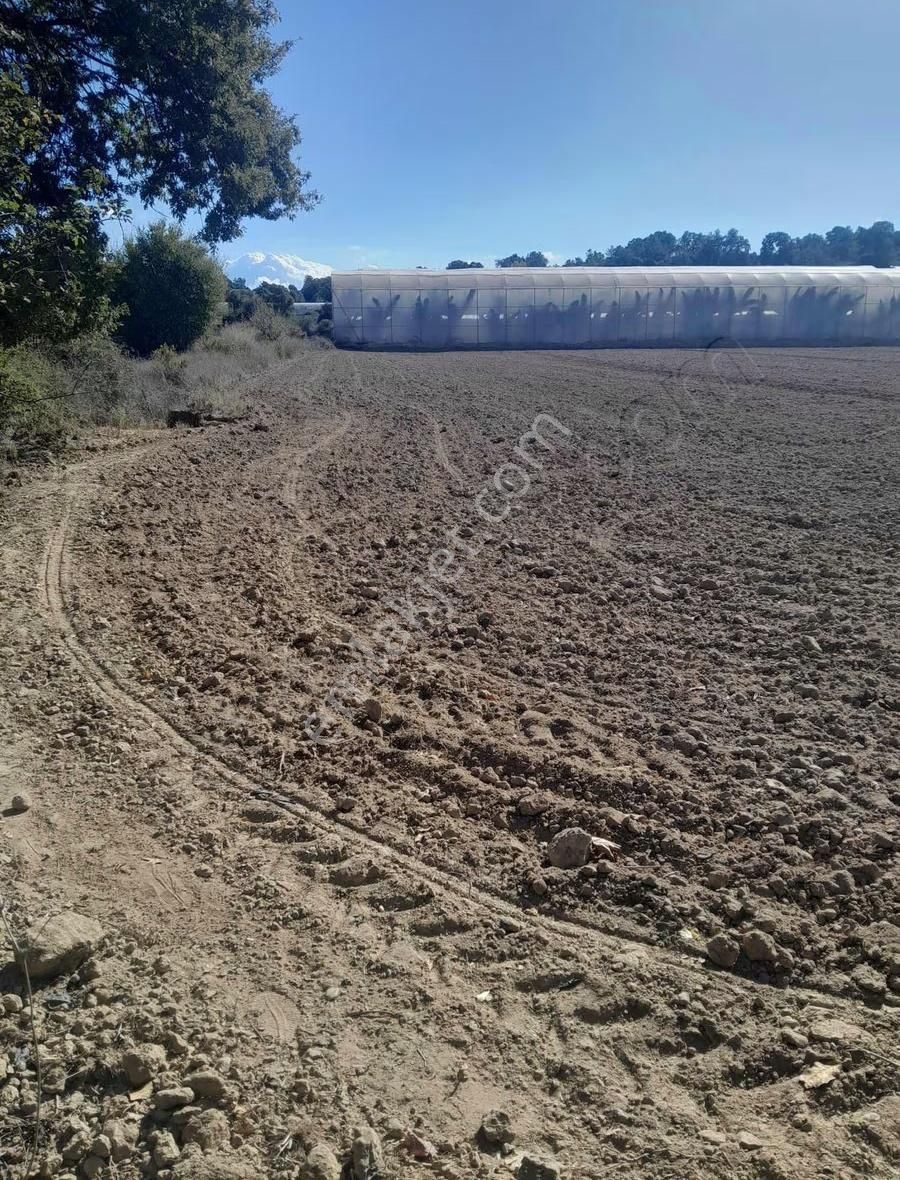 Manavgat Uzunlar Mevkiinde Satılık Tarla - Görsel 4