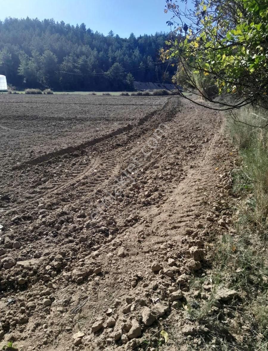 Manavgat Uzunlar Mevkiinde Satılık Tarla - Görsel 2
