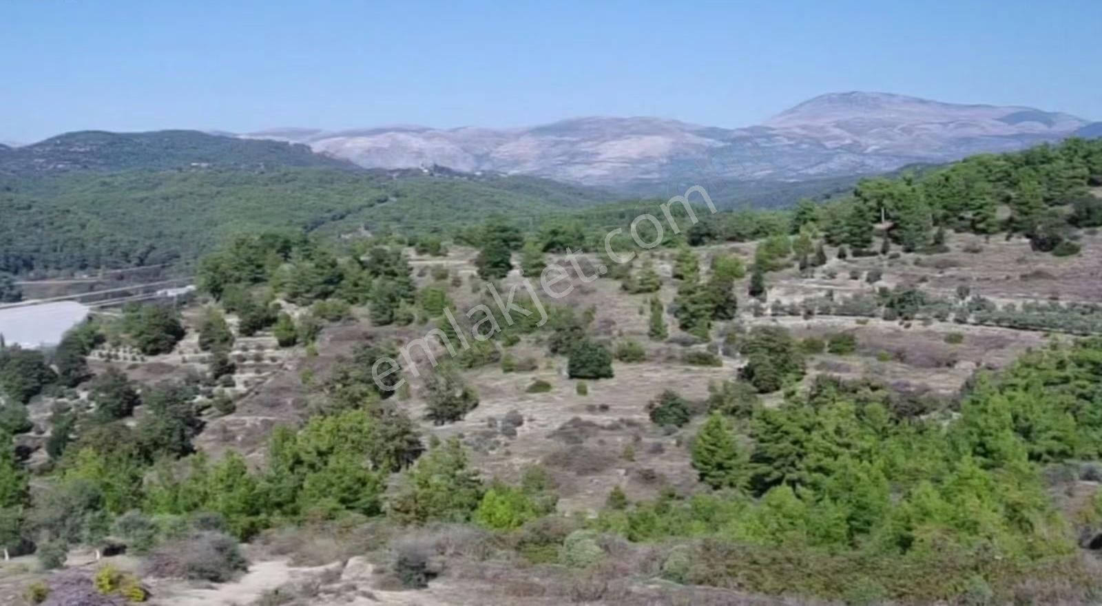 Öz Yıldız Emlaktan Uzunlar Mahallesinde Satılık Tarla - Görsel 12