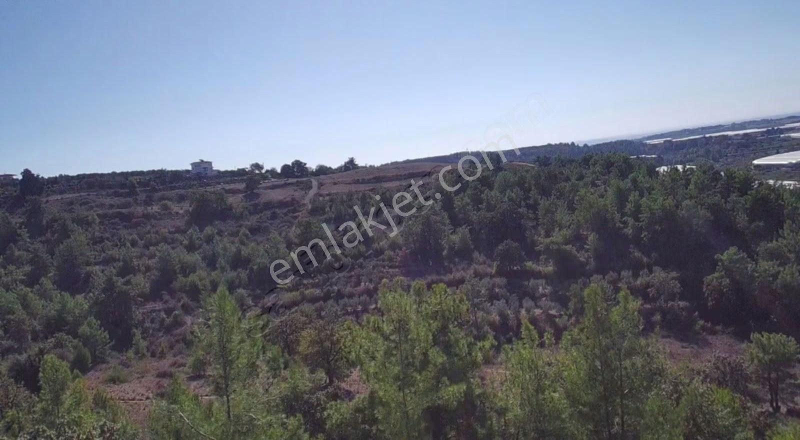 Öz Yıldız Emlaktan Uzunlar Mahallesinde Satılık Tarla - Görsel 9