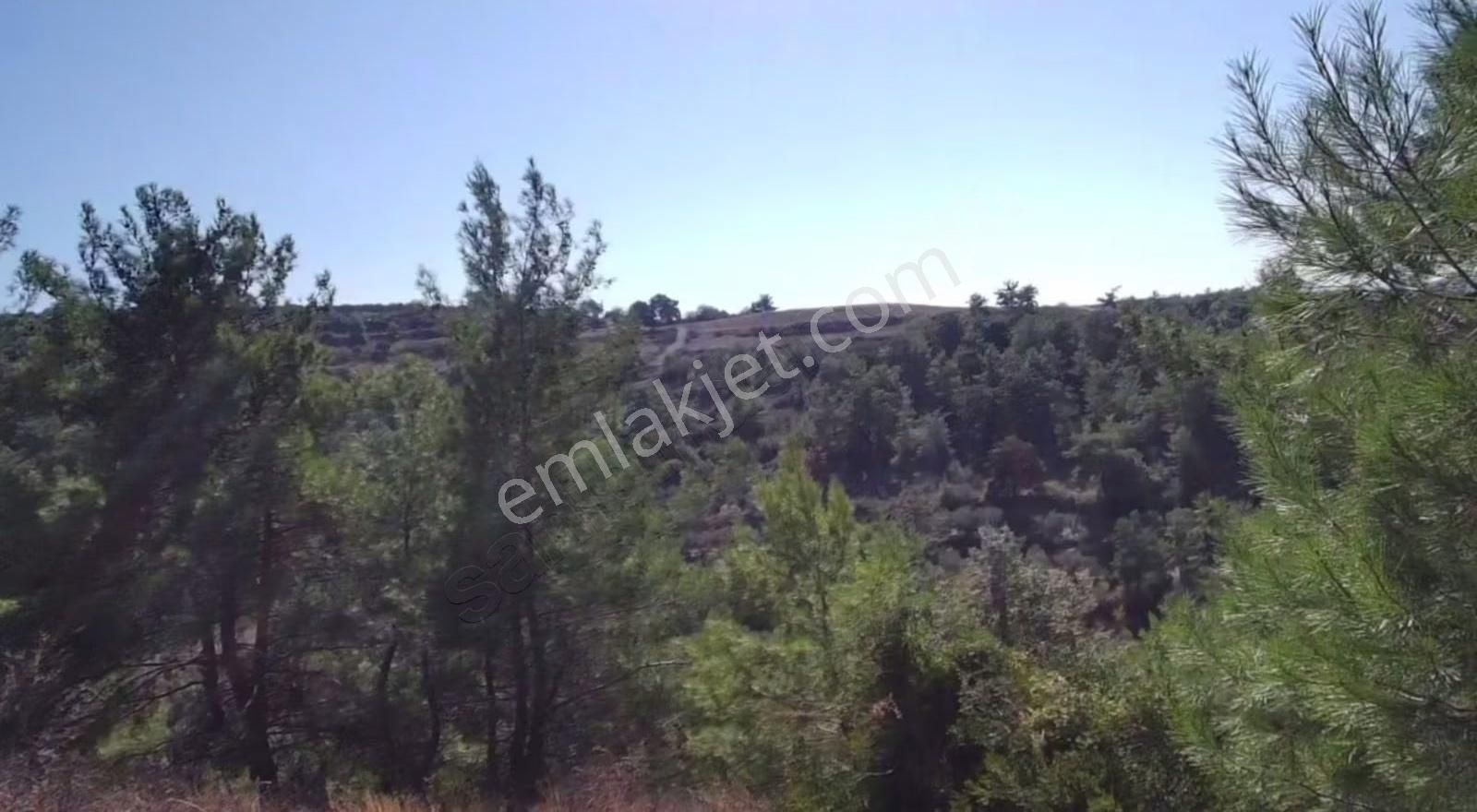 Öz Yıldız Emlaktan Uzunlar Mahallesinde Satılık Tarla - Görsel 6
