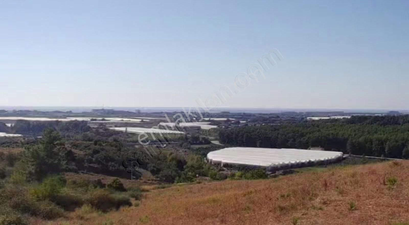 Öz Yıldız Emlaktan Uzunlar Mahallesinde Satılık Tarla