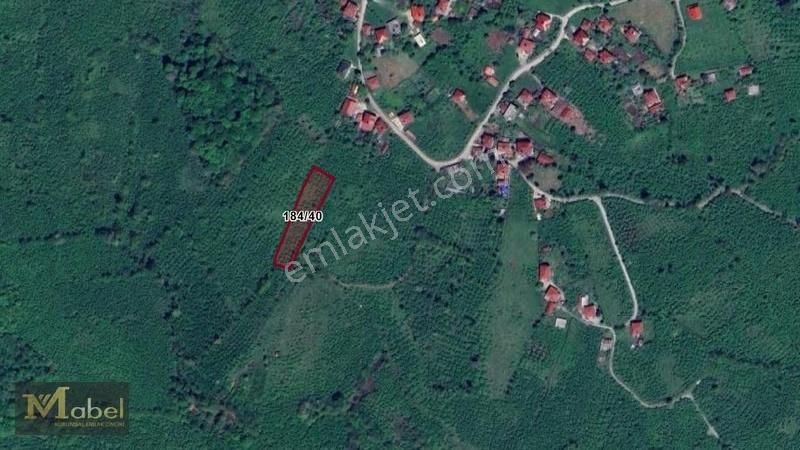 Mabel Gayrimenkul-öceli Mah.-şehir Merk.yakın Bahçe - Görsel 3