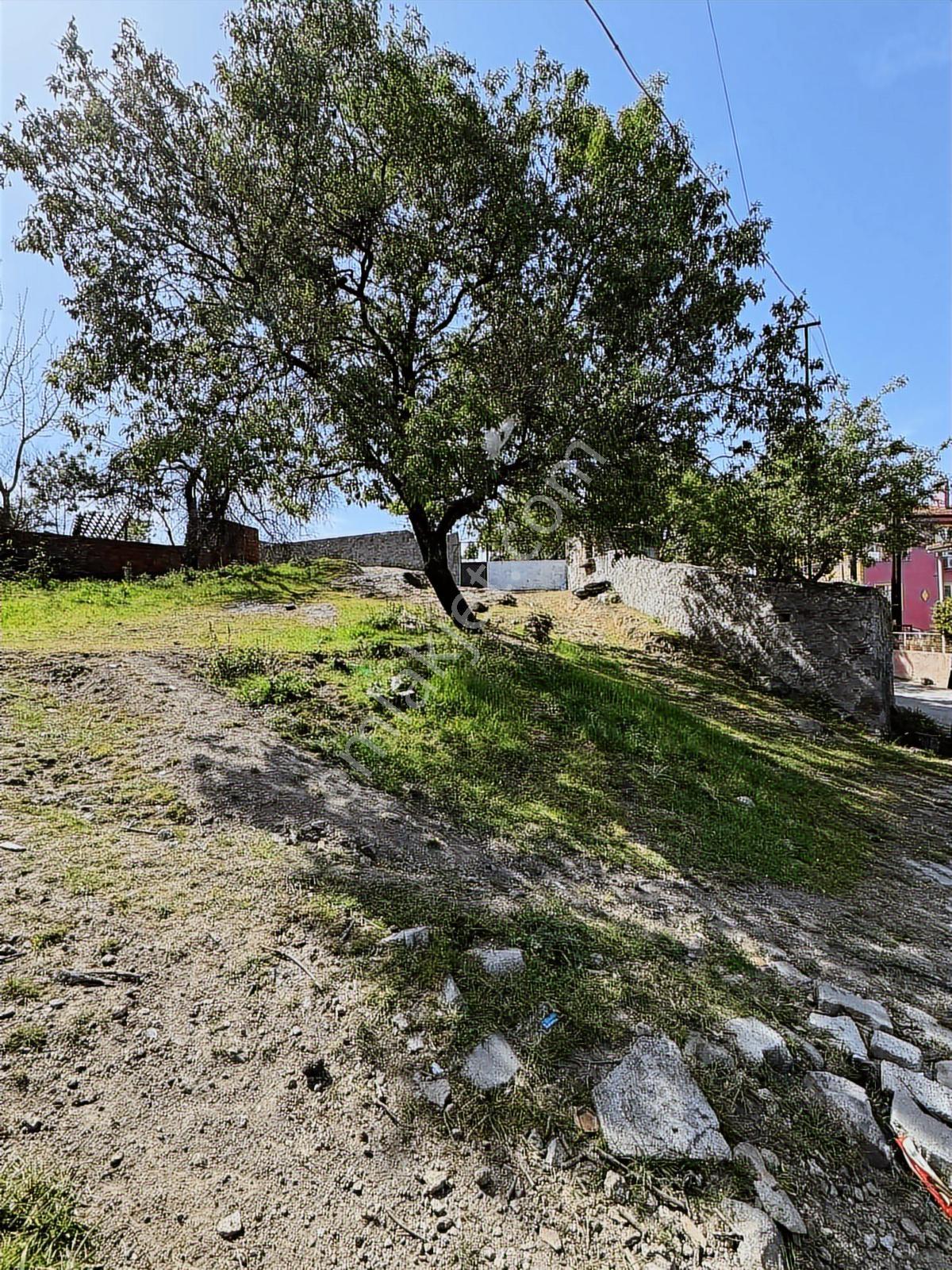 Ayvalık Karayıt Mahallesinde Satılık Arsa - Görsel 11