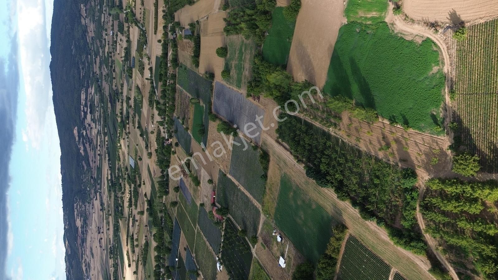 1308 M2 Fırsat Arazisi Tek Tapu Ovada Harika Nokta Kaçırma!!!!!! - Görsel 5