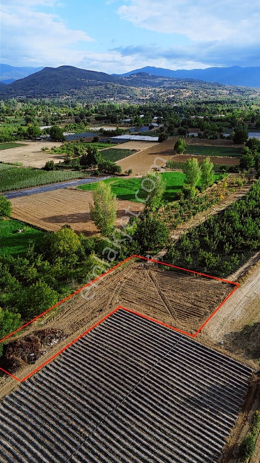 1308 M2 Fırsat Arazisi Tek Tapu Ovada Harika Nokta Kaçırma!!!!!! - Görsel 18