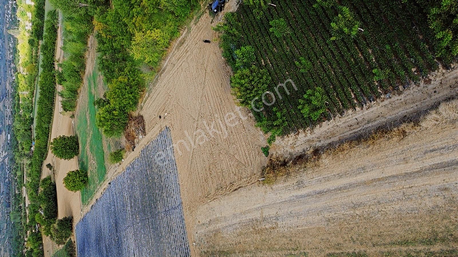1308 M2 Fırsat Arazisi Tek Tapu Ovada Harika Nokta Kaçırma!!!!!! - Görsel 6