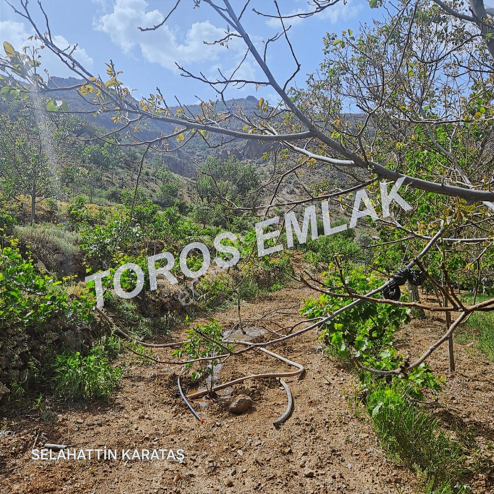 Toros Emlak'tan Çifteköy'de Satılık 8 Dönüm Evli Bahçe Satılık - Görsel 8