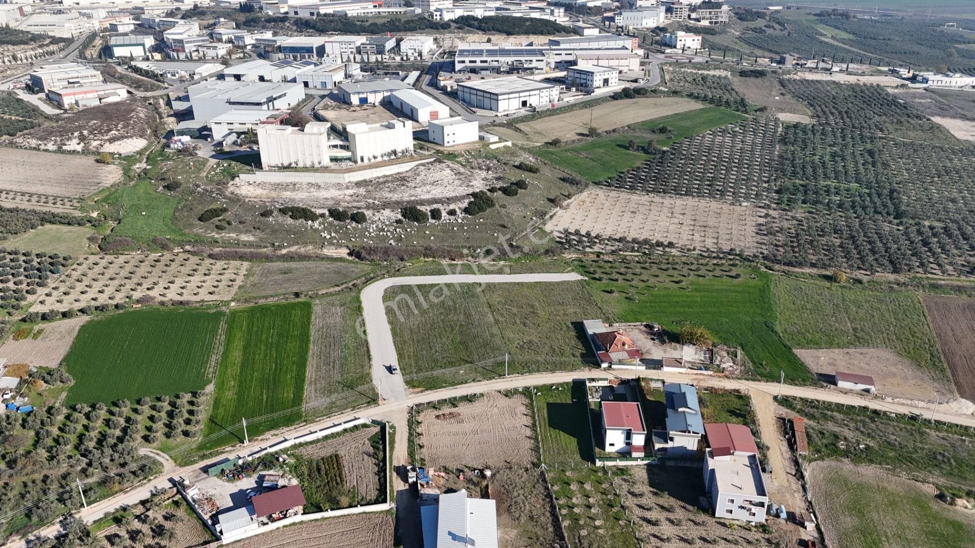 İzmir Menderes Tekelide Konut-villa İmarlı 500 M2 Doğalgazlı Arsa - Görsel 10