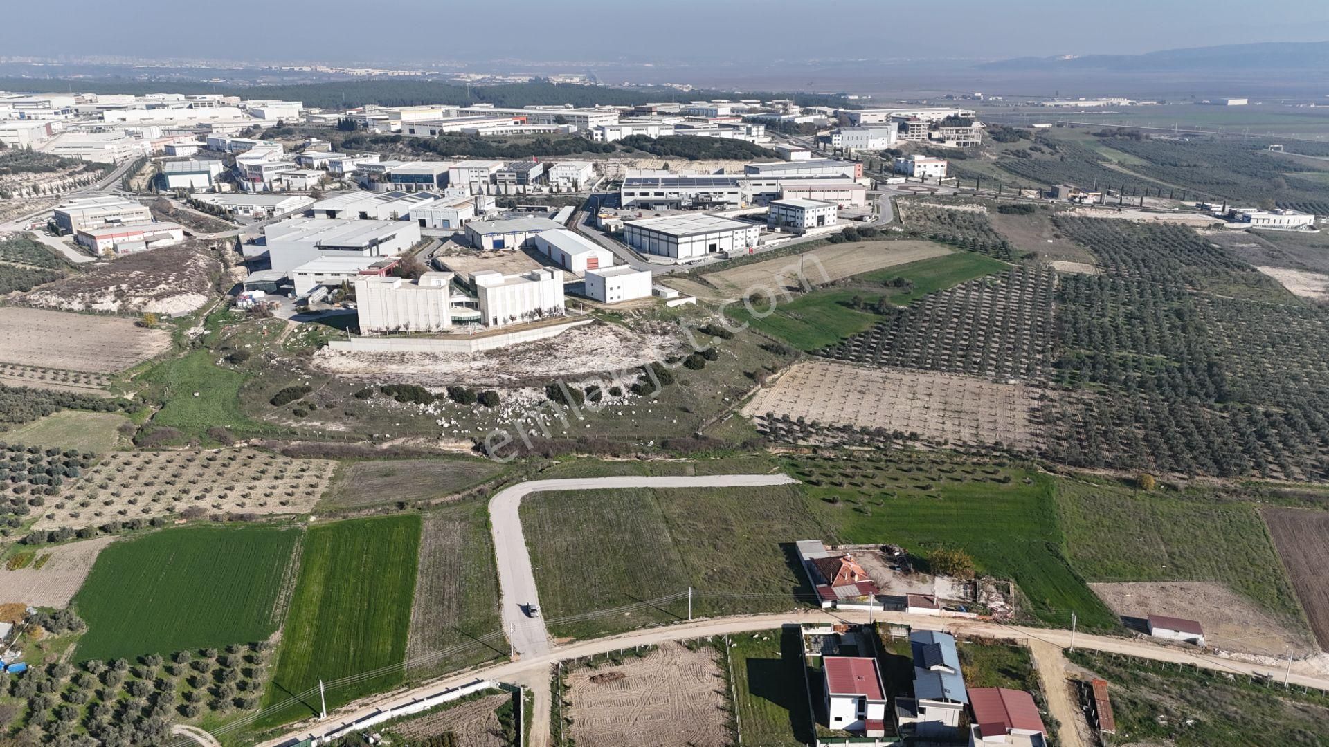 İzmir Menderes Tekelide Konut-villa İmarlı 500 M2 Doğalgazlı Arsa - Görsel 18