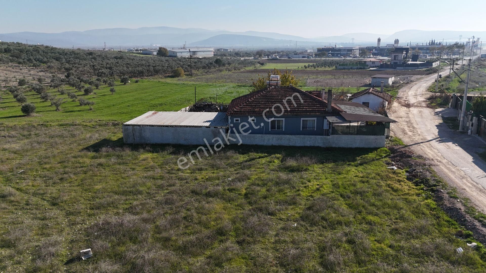 İzmir Menderes Tekelide Konut-villa İmarlı 500 M2 Doğalgazlı Arsa - Görsel 3