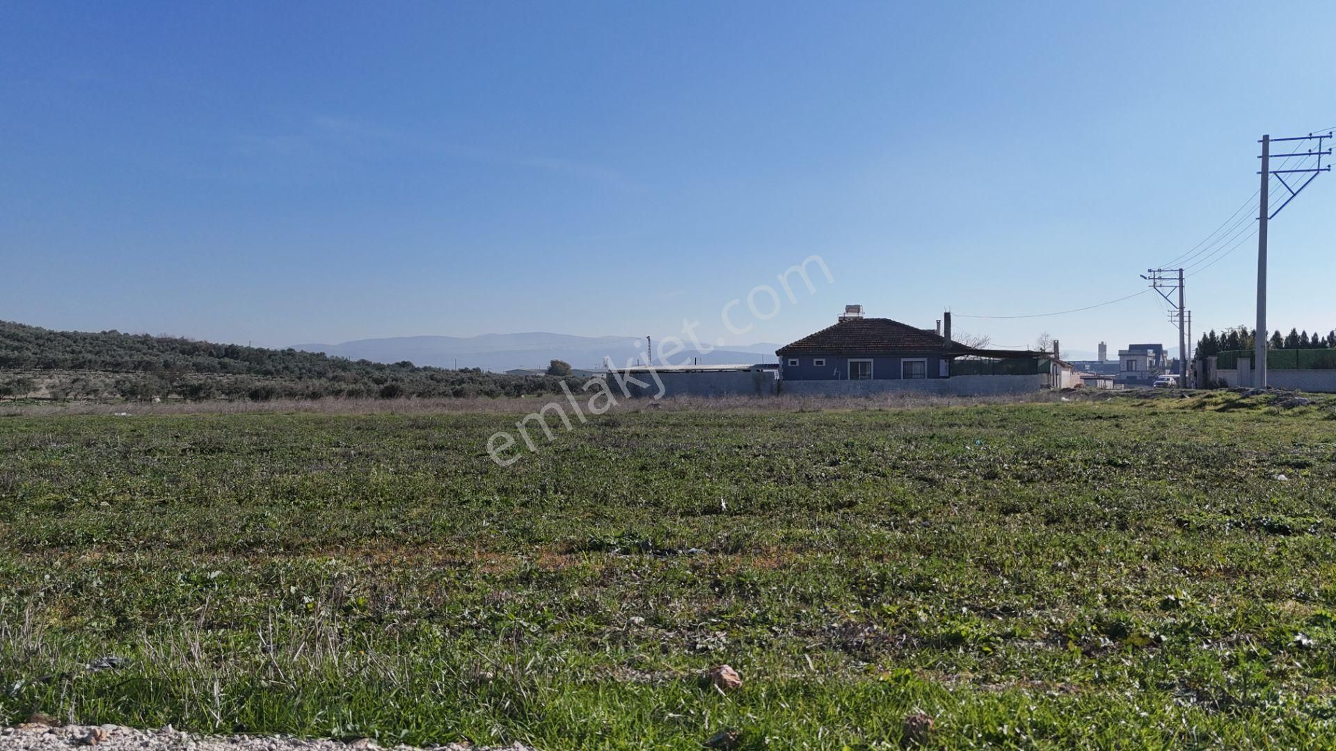 İzmir Menderes Tekelide Konut-villa İmarlı 500 M2 Doğalgazlı Arsa - Görsel 6