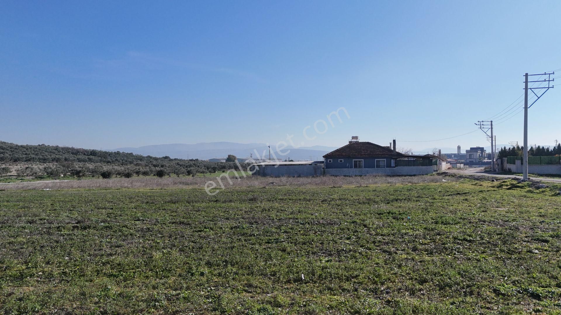 İzmir Menderes Tekelide Konut-villa İmarlı 500 M2 Doğalgazlı Arsa - Görsel 30