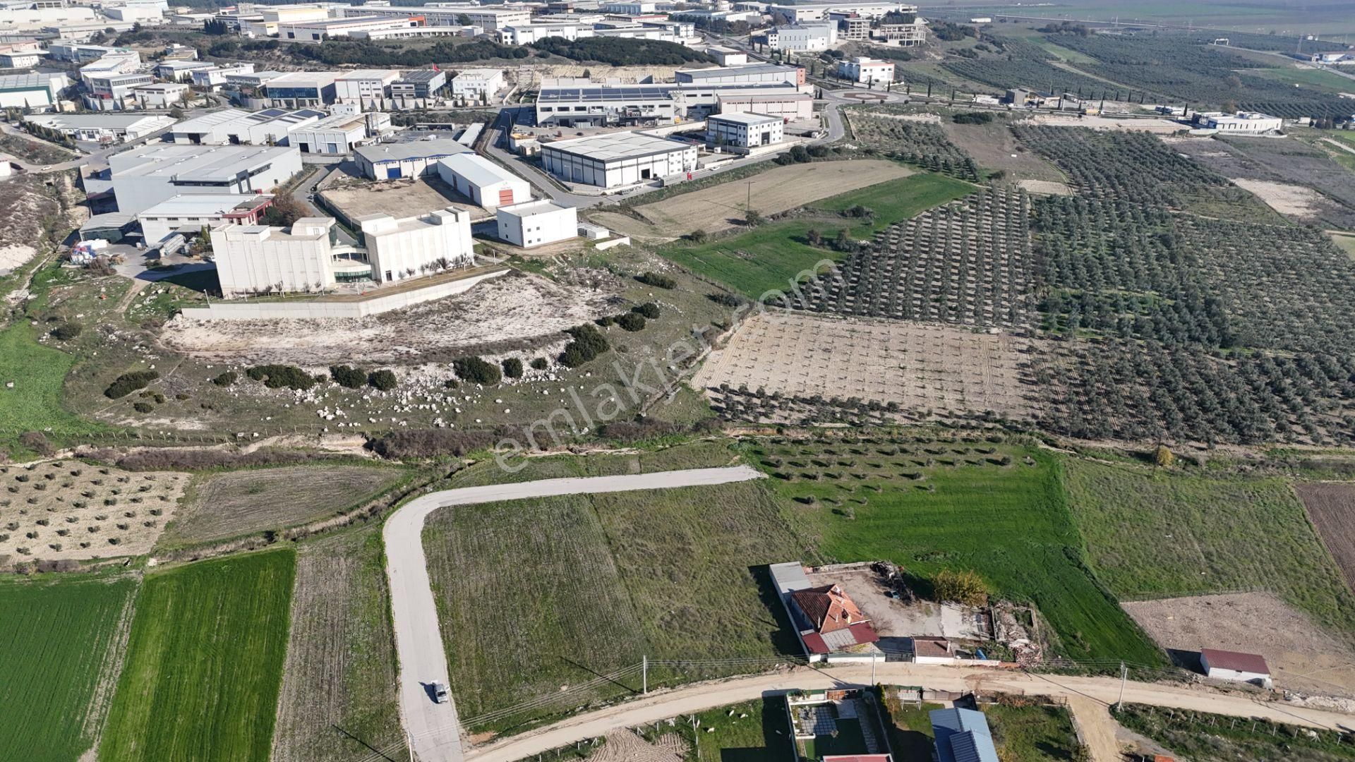 İzmir Menderes Tekelide Konut-villa İmarlı 500 M2 Doğalgazlı Arsa - Görsel 15