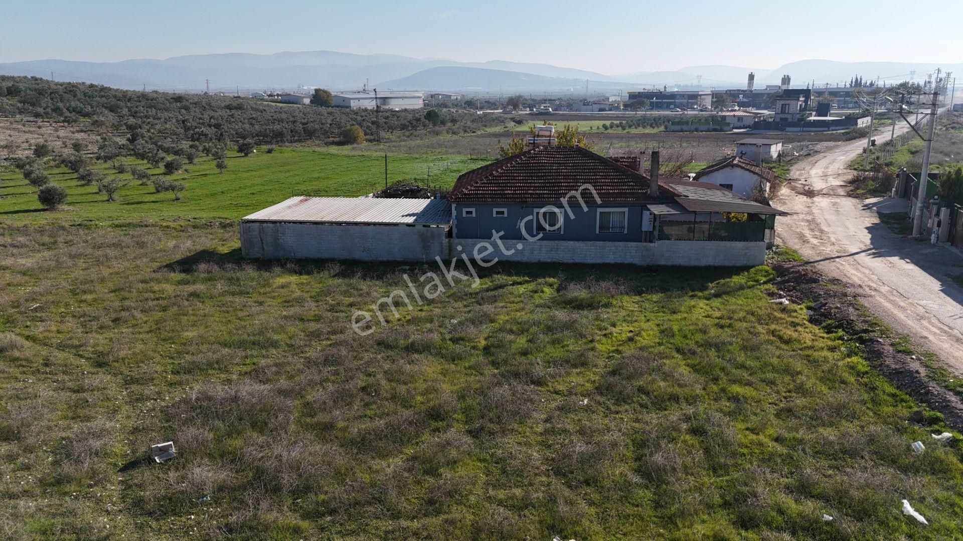 İzmir Menderes Tekelide Konut-villa İmarlı 500 M2 Doğalgazlı Arsa - Görsel 35