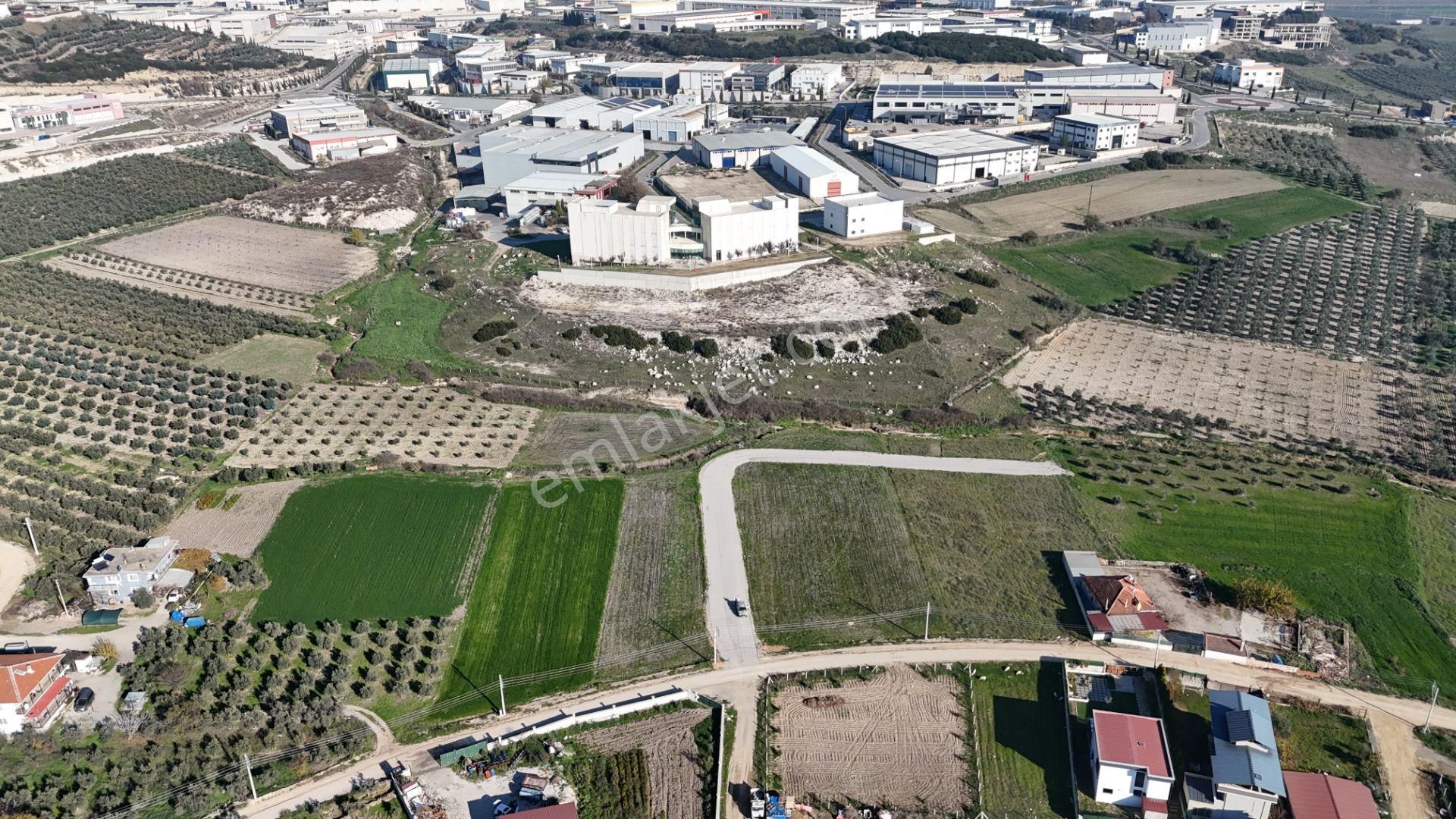 İzmir Menderes Tekelide Konut-villa İmarlı 500 M2 Doğalgazlı Arsa - Görsel 28