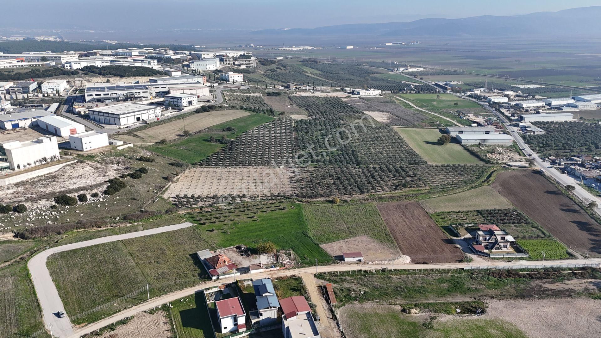 İzmir Menderes Tekelide Konut-villa İmarlı 500 M2 Doğalgazlı Arsa - Görsel 33