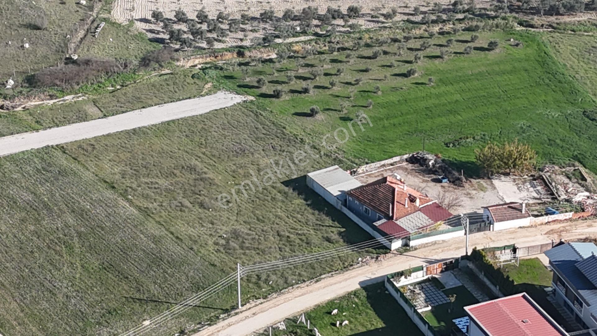 İzmir Menderes Tekelide Konut-villa İmarlı 500 M2 Doğalgazlı Arsa - Görsel 31