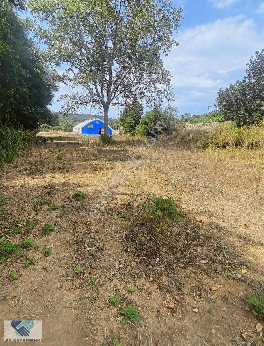 Alfa'dan Anadolufenerinde Anacaddeye 120 M Cepheli Arsa Acil... - Görsel 16