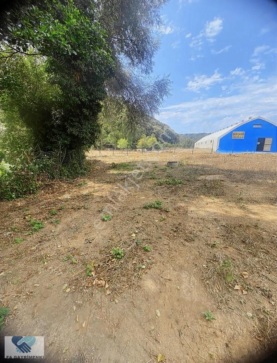 Alfa'dan Anadolufenerinde Anacaddeye 120 M Cepheli Arsa Acil... - Görsel 12