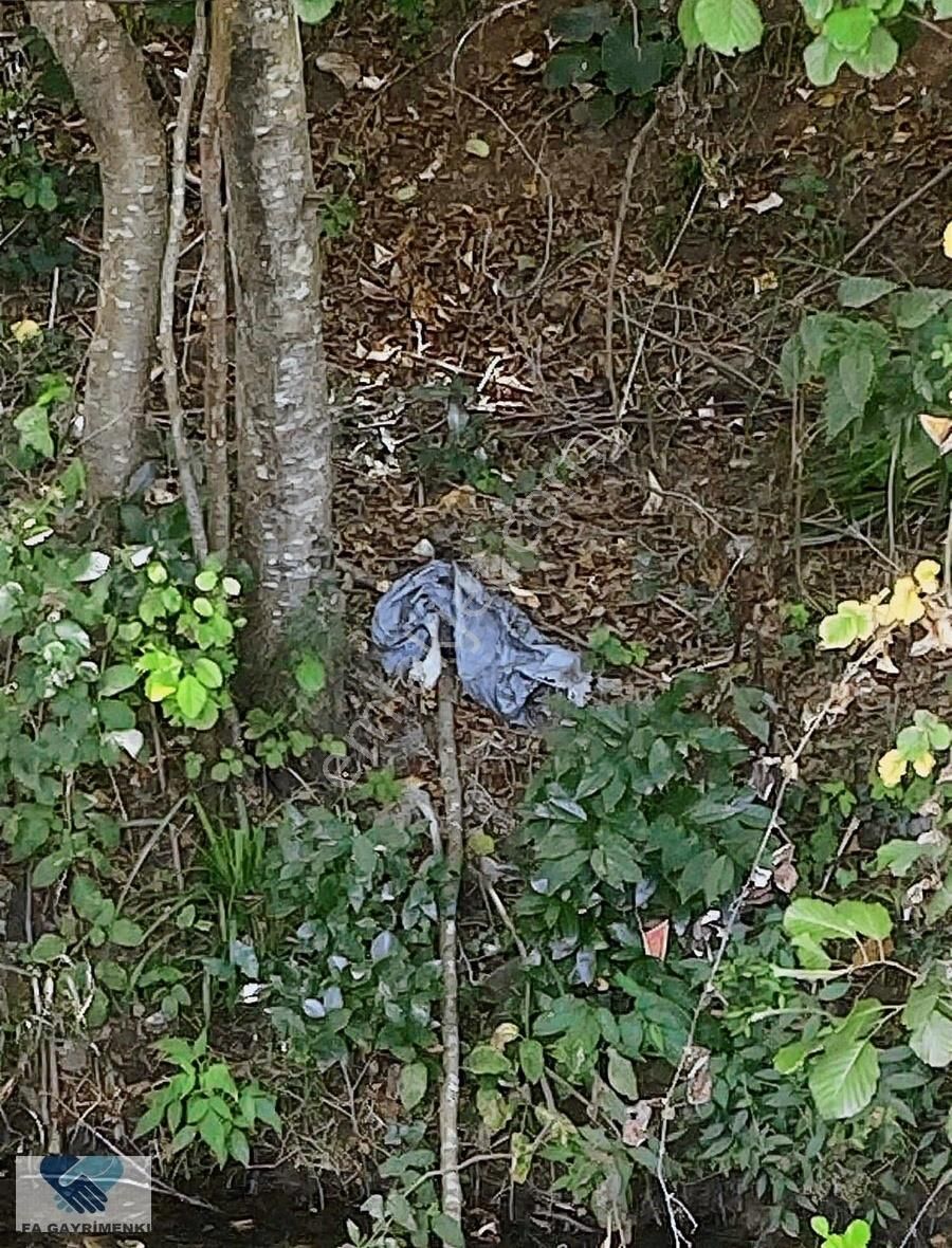 Alfa'dan Anadolufenerinde Anacaddeye 120 M Cepheli Arsa Acil... - Görsel 20