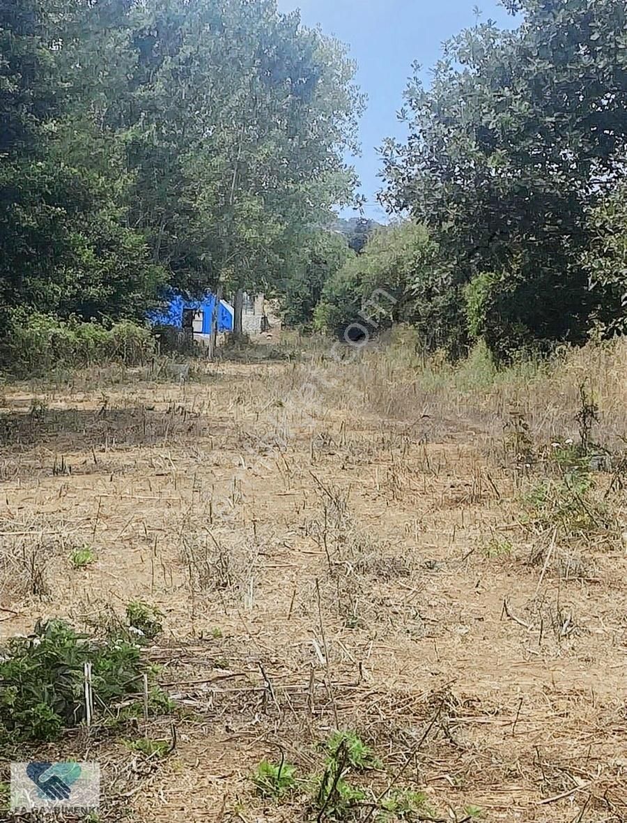 Alfa'dan Anadolufenerinde Anacaddeye 120 M Cepheli Arsa Acil... - Görsel 4