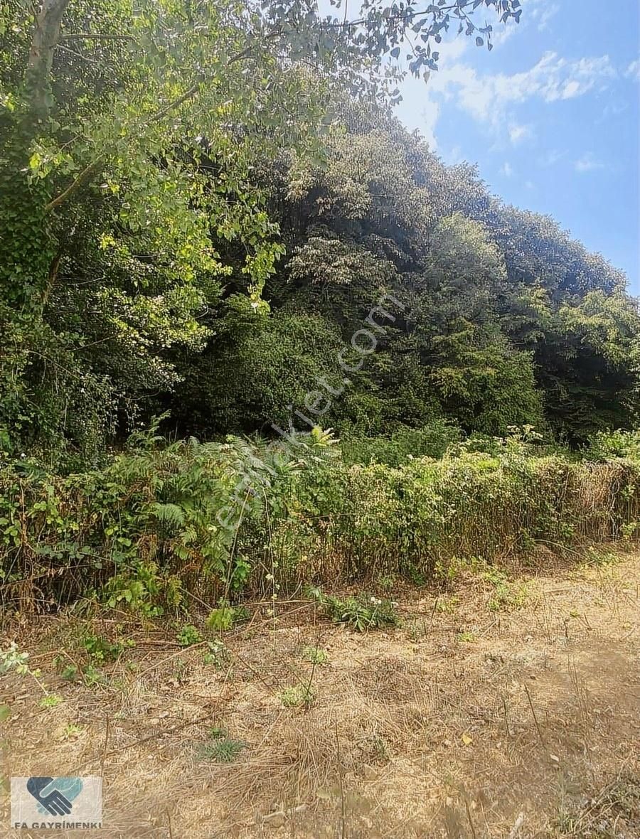 Alfa'dan Anadolufenerinde Anacaddeye 120 M Cepheli Arsa Acil... - Görsel 5