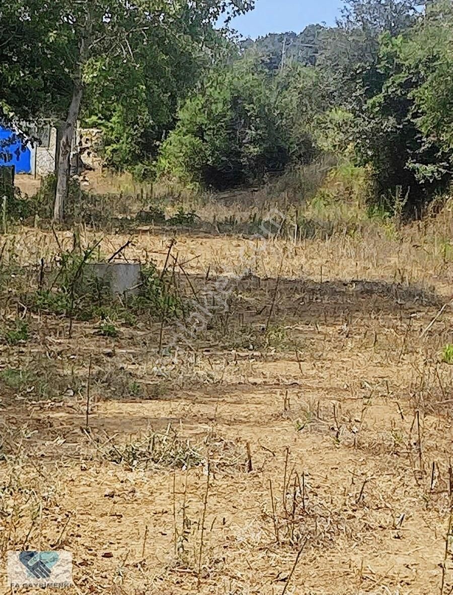 Alfa'dan Anadolufenerinde Anacaddeye 120 M Cepheli Arsa Acil... - Görsel 9