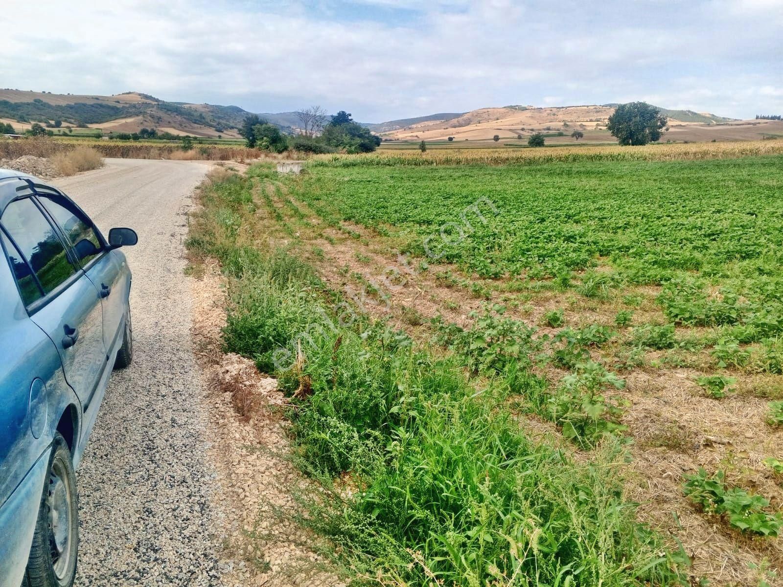 Yenişehir Çelebi'de Asfalt Yola Cepheli Suyu Olan 9050,m2 Tarla - Görsel 3