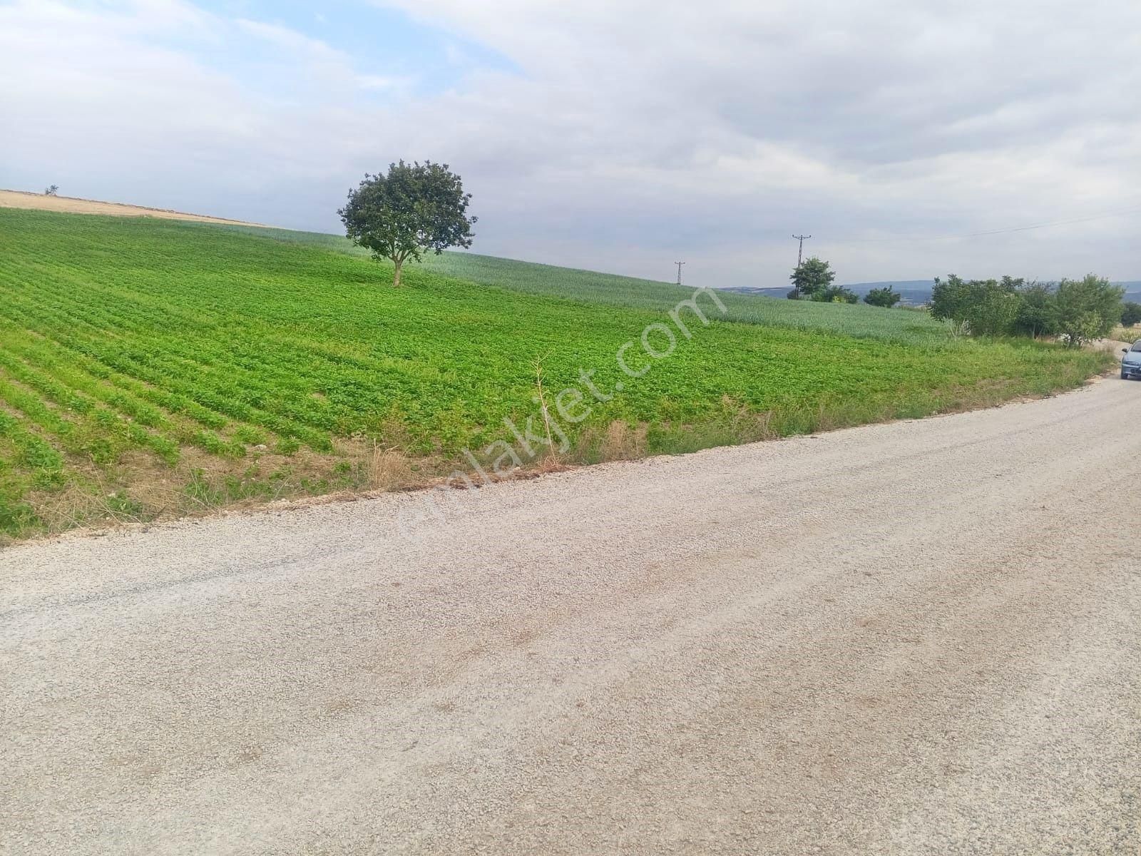 Yenişehir Çelebi'de Asfalt Yola Cepheli Suyu Olan 9050,m2 Tarla - Görsel 8