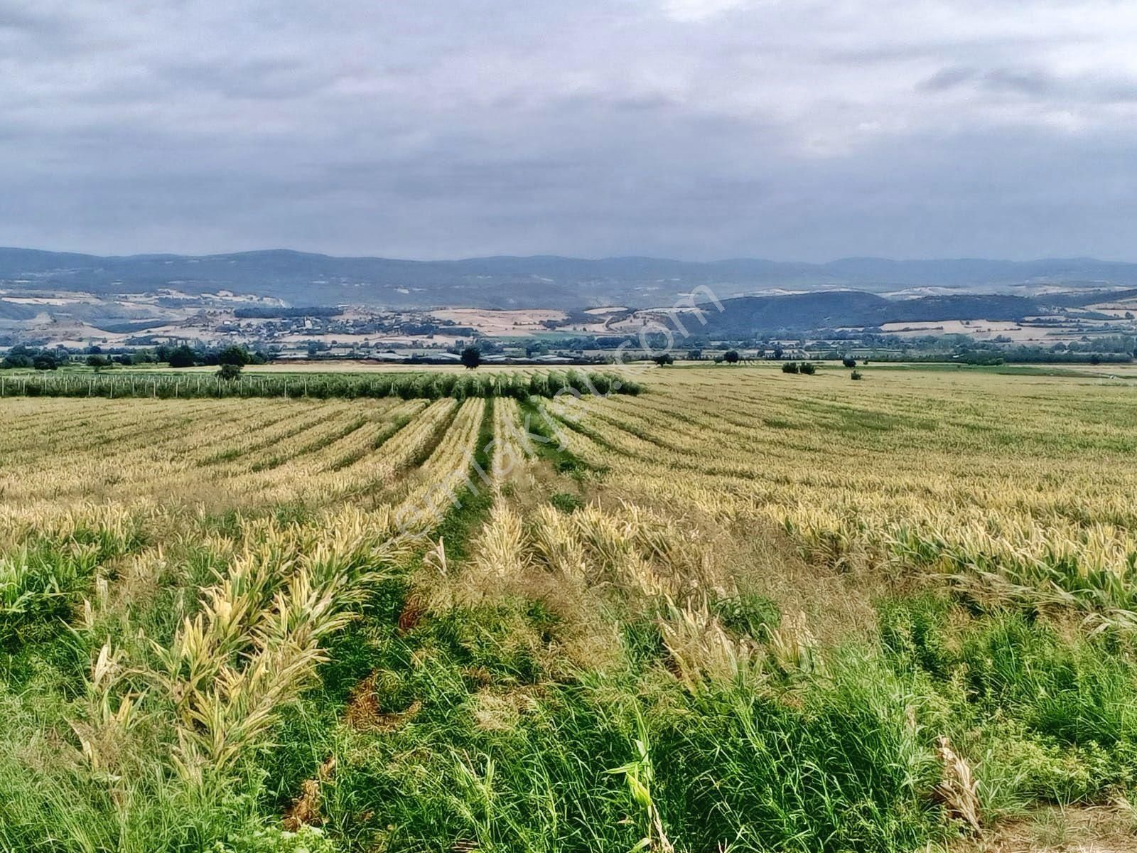 Yenişehir Çelebi'de Asfalt Yola Cepheli Suyu Olan 9050,m2 Tarla - Görsel 14