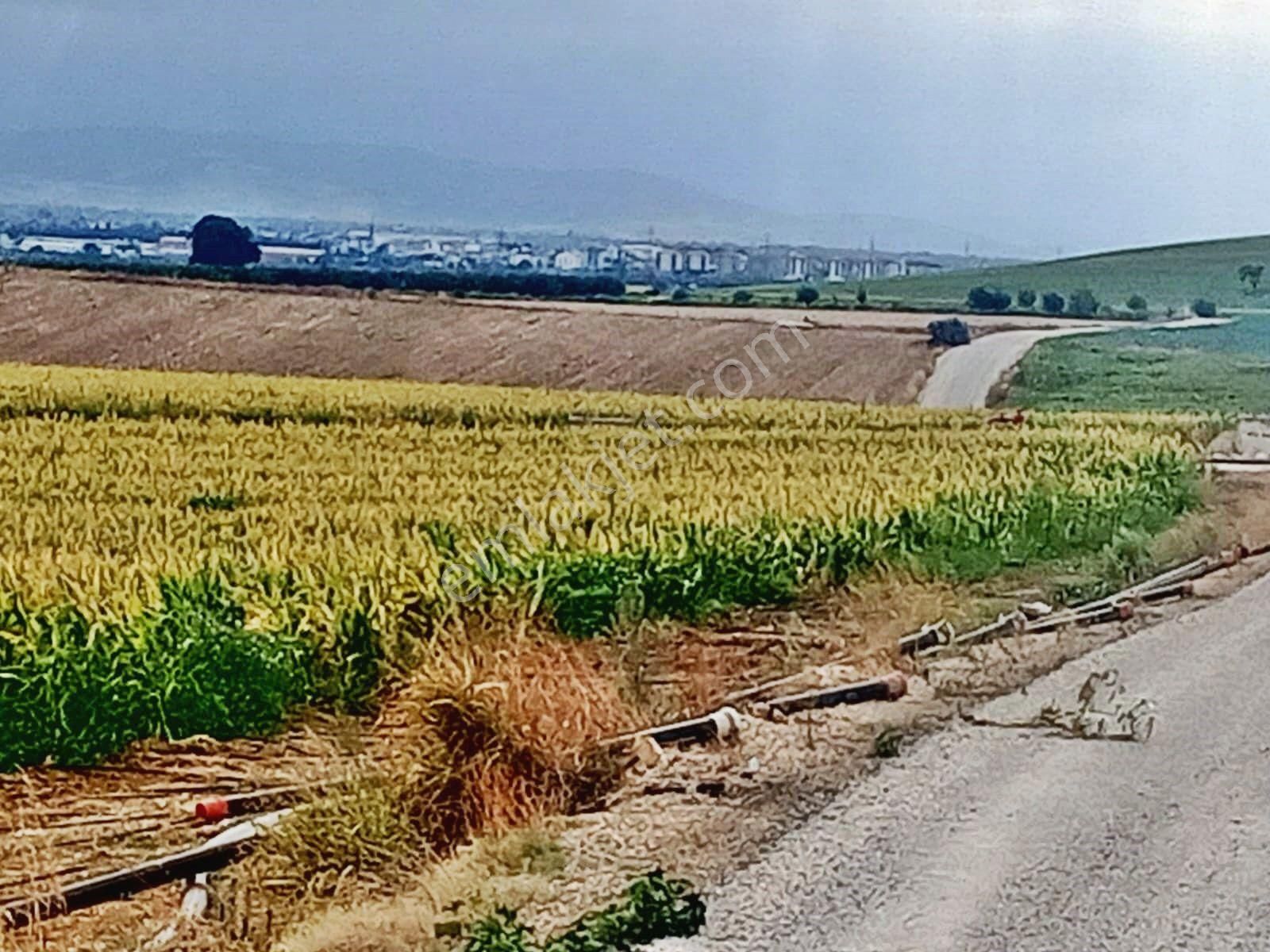 Yenişehir Çelebi'de Asfalt Yola Cepheli Suyu Olan 9050,m2 Tarla - Görsel 10