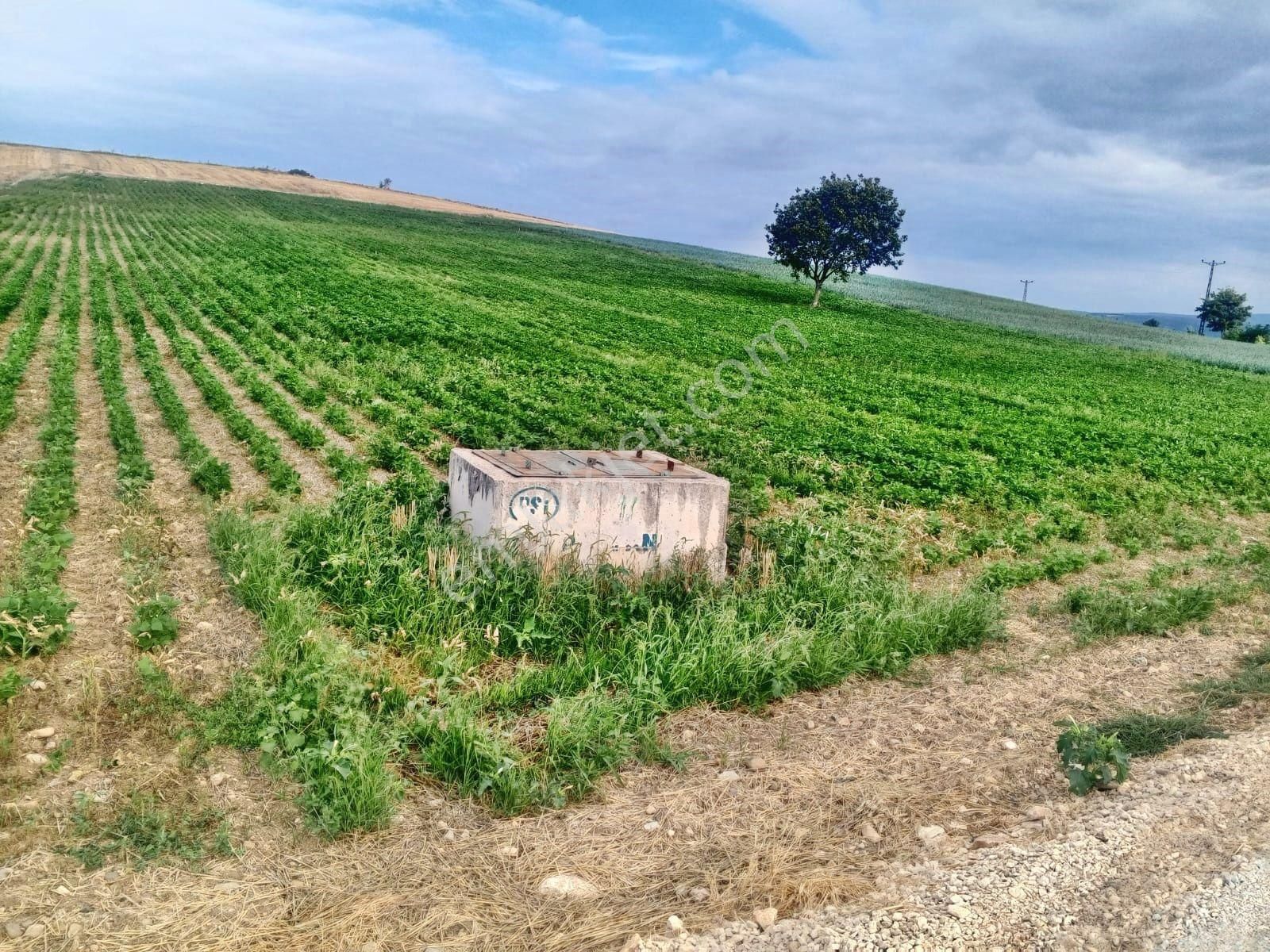 Yenişehir Çelebi'de Asfalt Yola Cepheli Suyu Olan 9050,m2 Tarla - Görsel 2