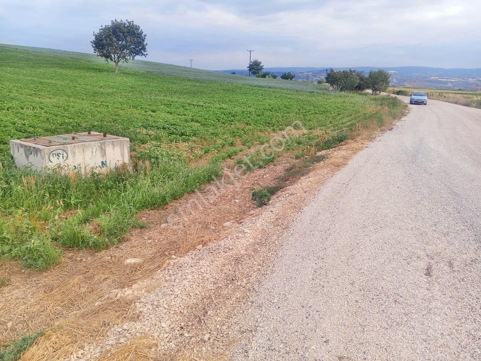 Yenişehir Çelebi'de Asfalt Yola Cepheli Suyu Olan 9050,m2 Tarla - Görsel 7