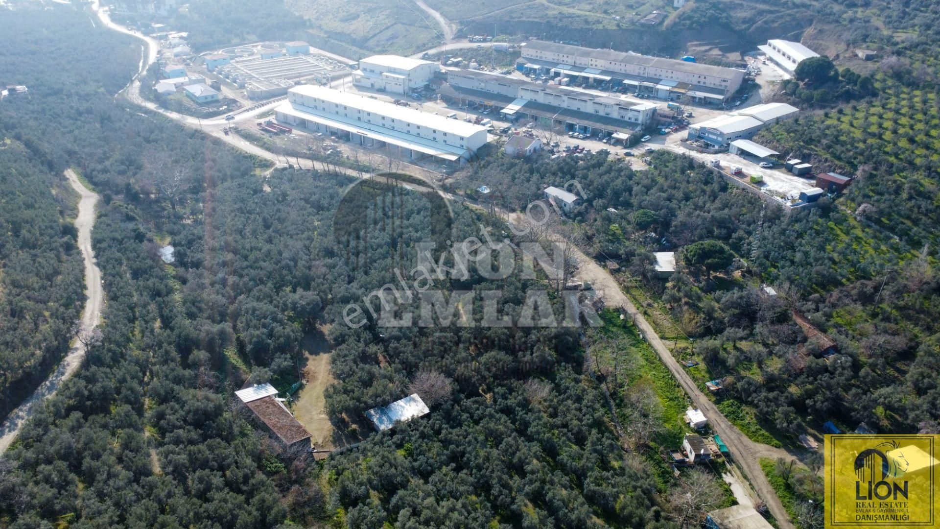 🟨⬛lıon Emlak'tan Erdek Sanayi Sitesine Yakın Yatırımlık 1721m² Satılık Zeytinlik⬛🟨 - Görsel 12